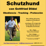 Seminar Schutzhund G. Dildei